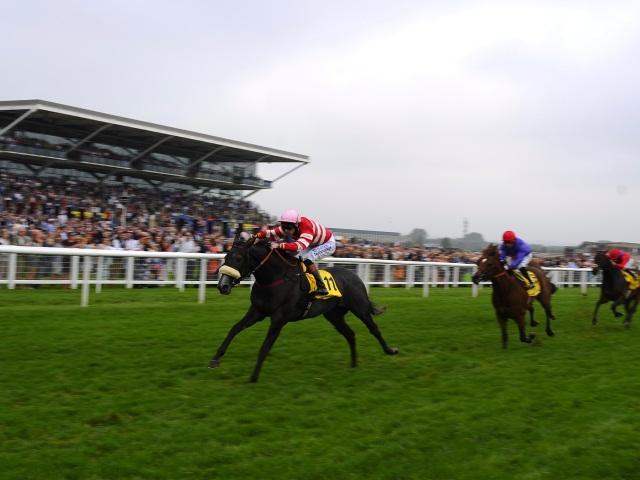 Tony has two selections from Newbury (pictured) and two from Doncaster for Saturday afternoon